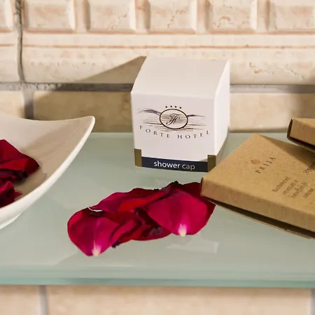 Forte Hotel ホテル