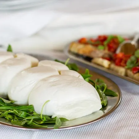 Forte Hotel ヴィエステ