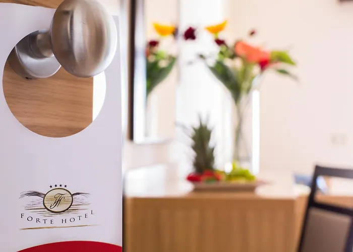 Forte Hotel 4*